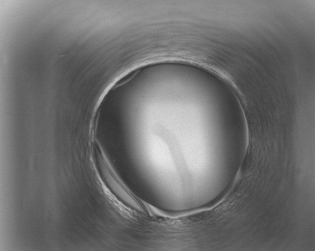 X0000053011524200507221300