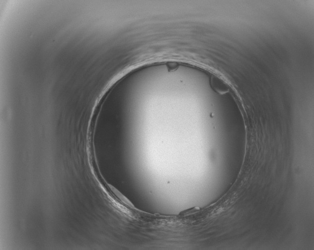 X0000053011525200507221300