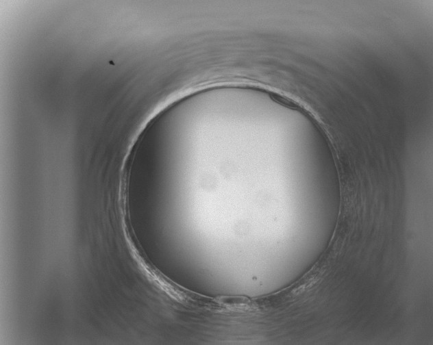 X0000053011526200507221300