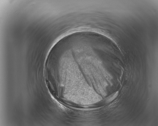 X0000053011527200507221300