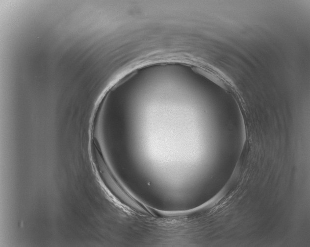 X0000053011528200507221300