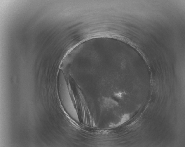 X0000053011529200507221300