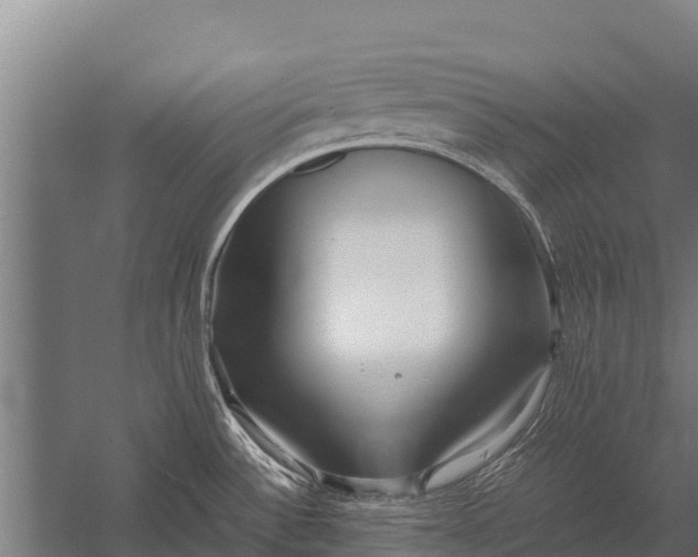 X0000053011532200507221300