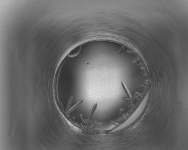 X0000053011533200507221300