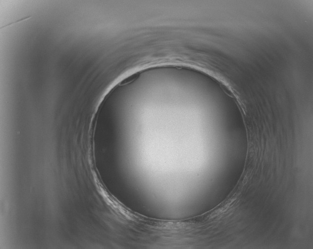 X0000053011534200507221300