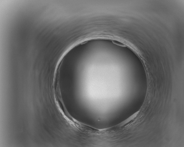 X0000053011536200507221300