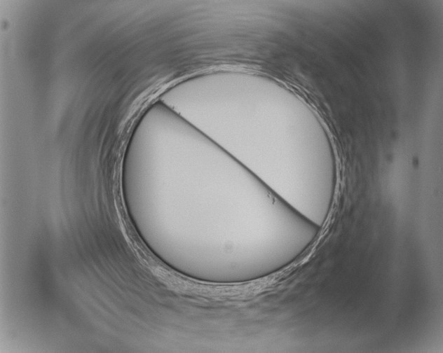 X0000053010001200507291720