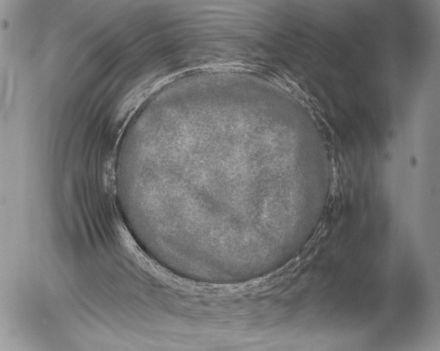 X0000053010002200507291720