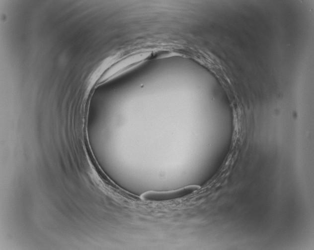 X0000053010003200507291719