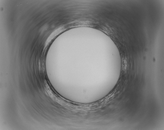 X0000053010004200507291719