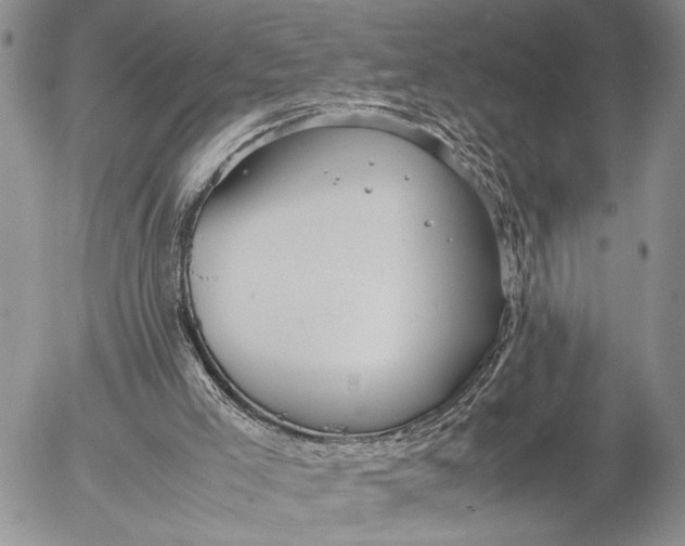 X0000053010005200507291719