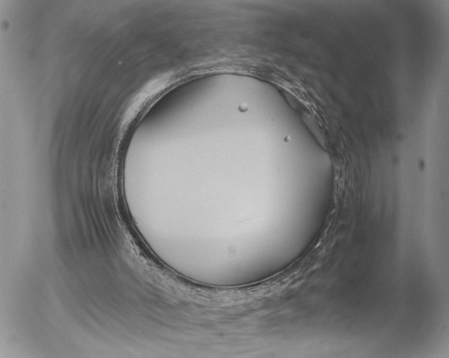 X0000053010006200507291719