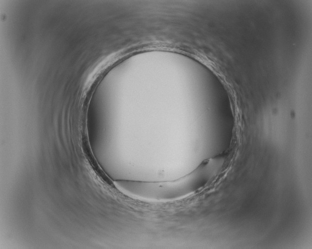 X0000053010007200507291719