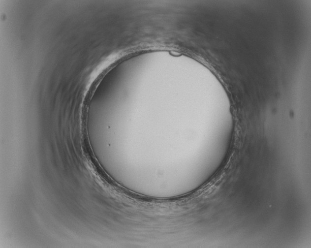 X0000053010008200507291719