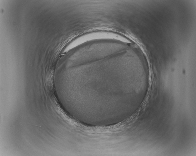 X0000053010009200507291719