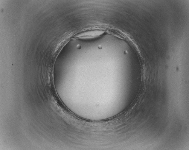 X0000053010010200507291719