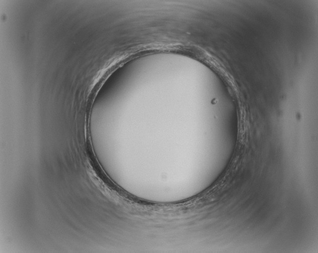 X0000053010011200507291719