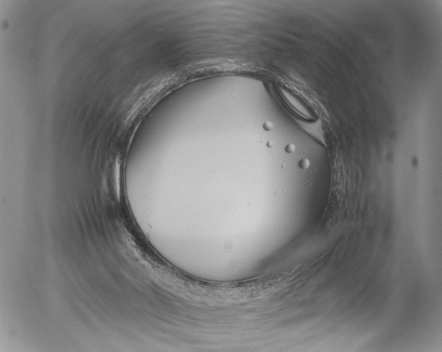 X0000053010014200507291719