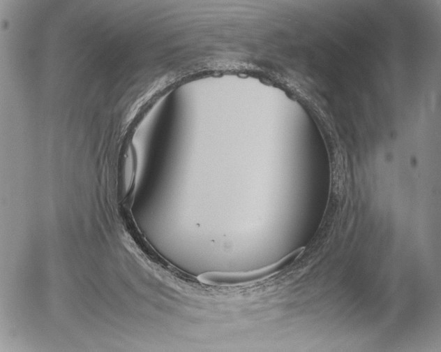 X0000053010015200507291719