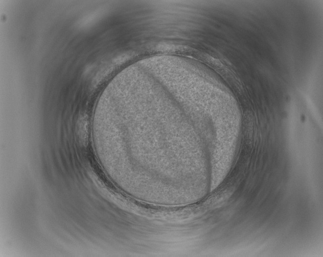 X0000053010016200507291719