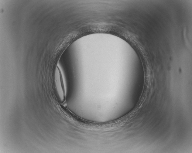 X0000053010017200507291719