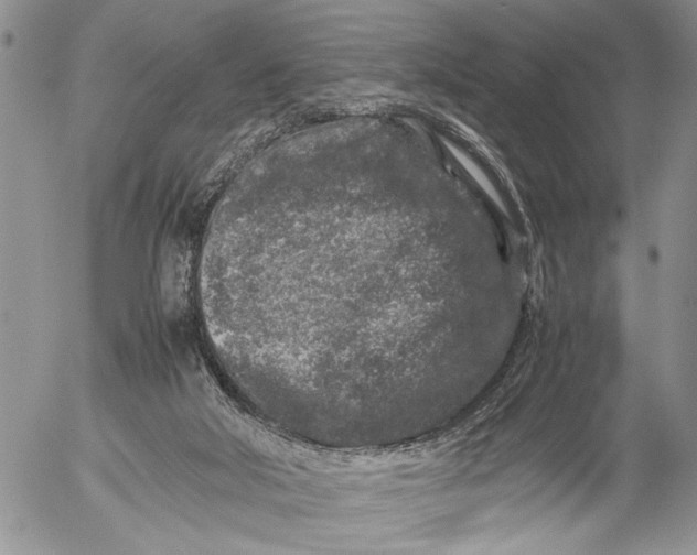 X0000053010018200507291719