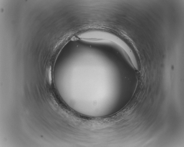 X0000053010020200507291719