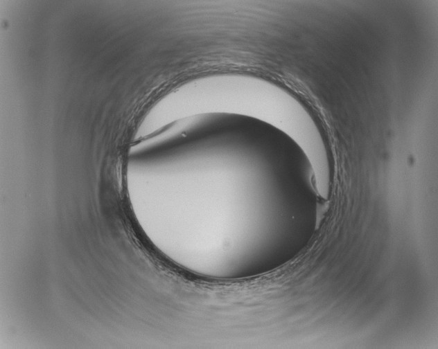 X0000053010021200507291719