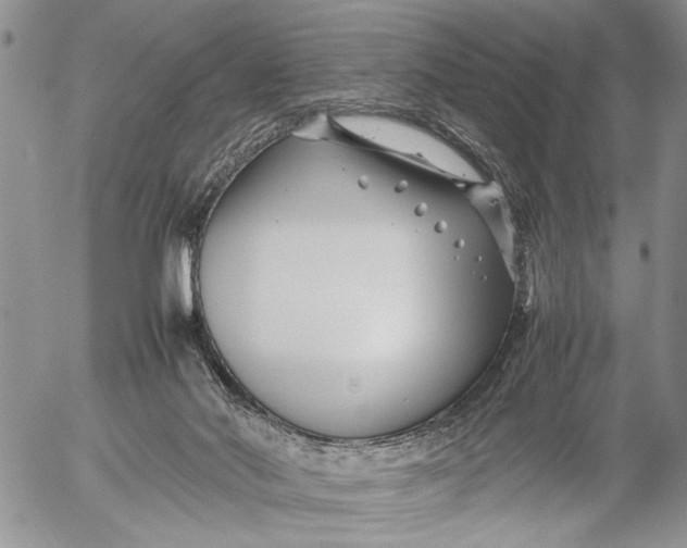 X0000053010022200507291719