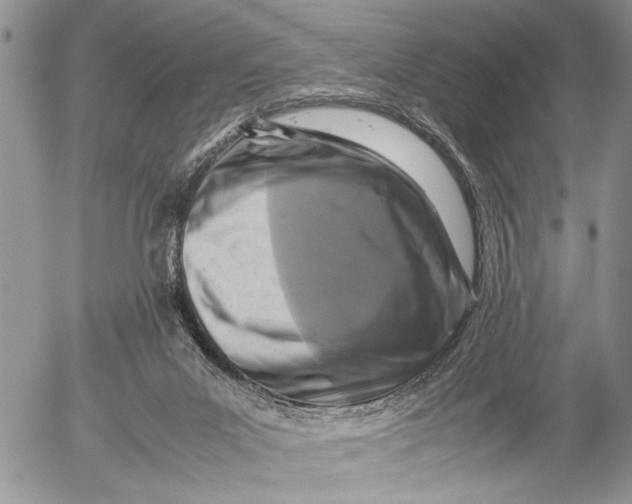 X0000053010023200507291719