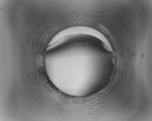 X0000053010025200507291719