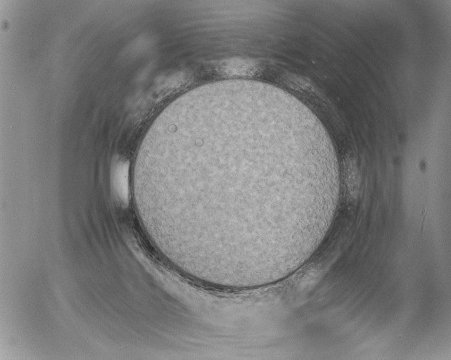 X0000053010028200507291719