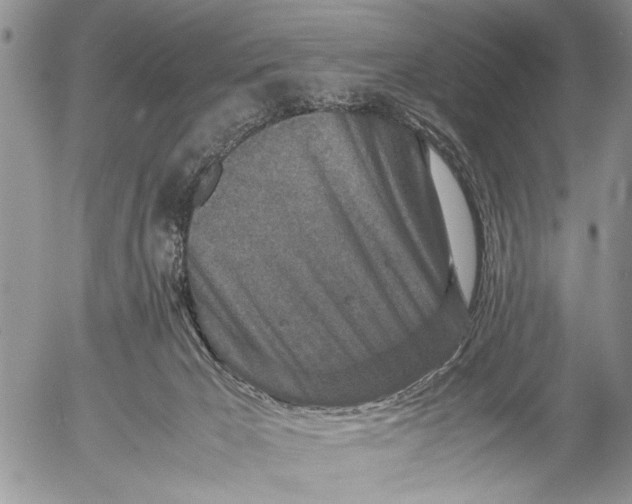 X0000053010029200507291719