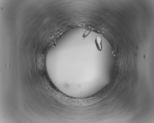 X0000053010030200507291719