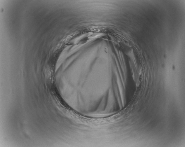 X0000053010031200507291719