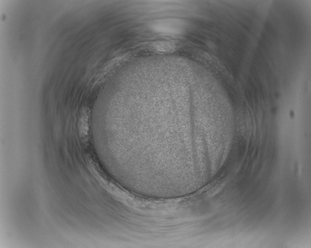 X0000053010032200507291719