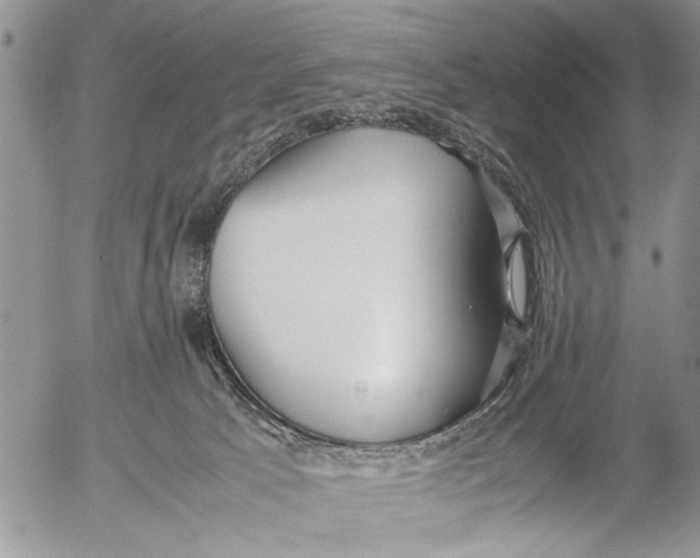 X0000053010033200507291719