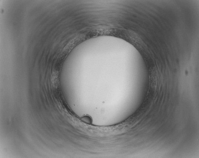 X0000053010034200507291719