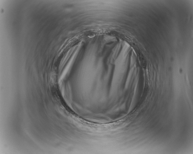 X0000053010035200507291719