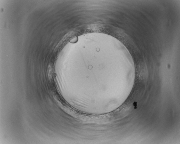 X0000053010036200507291719