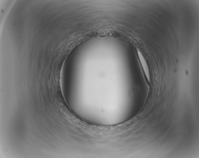 X0000053010037200507291719