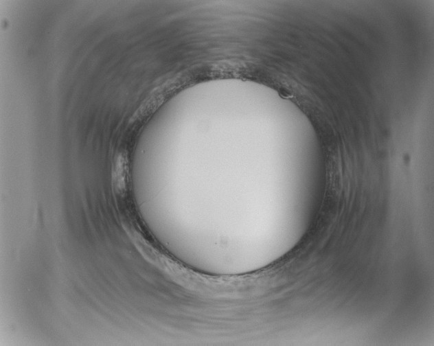 X0000053010038200507291719