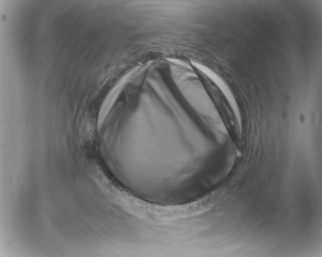 X0000053010039200507291719