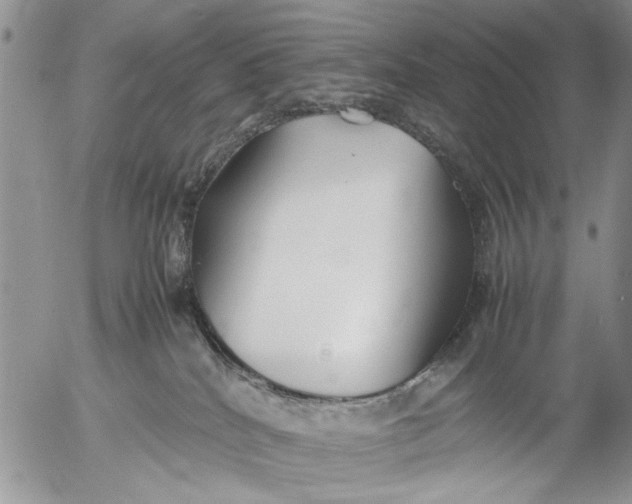 X0000053010040200507291719