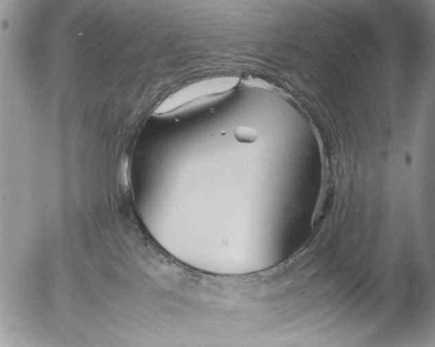 X0000053010041200507291719