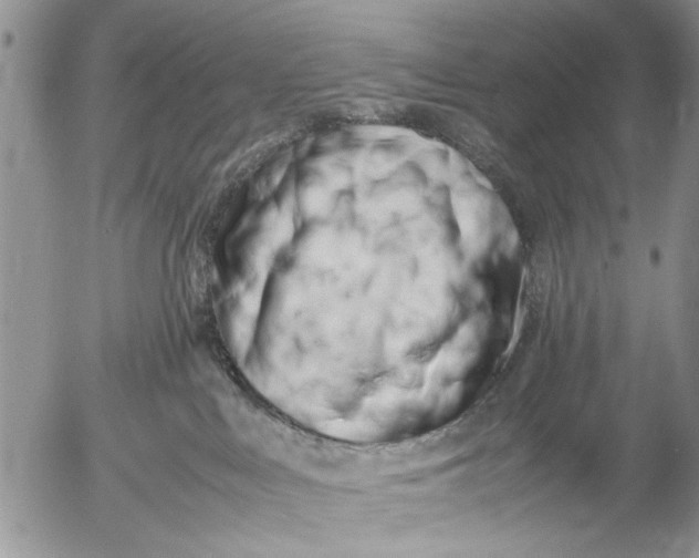 X0000053010043200507291719