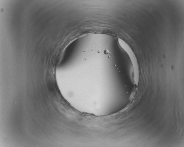 X0000053010045200507291719