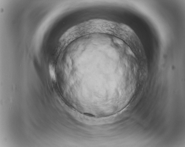 X0000053010047200507291719