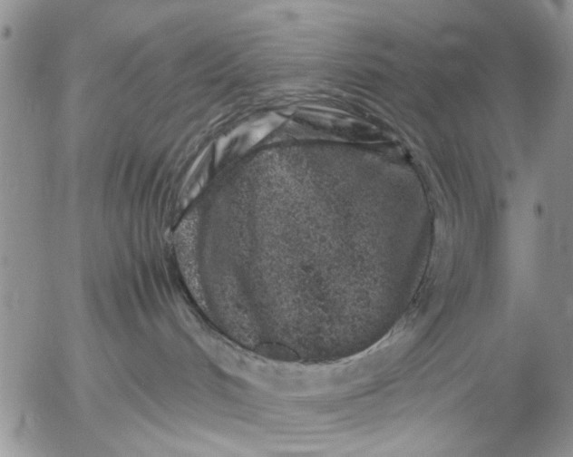 X0000053010048200507291719