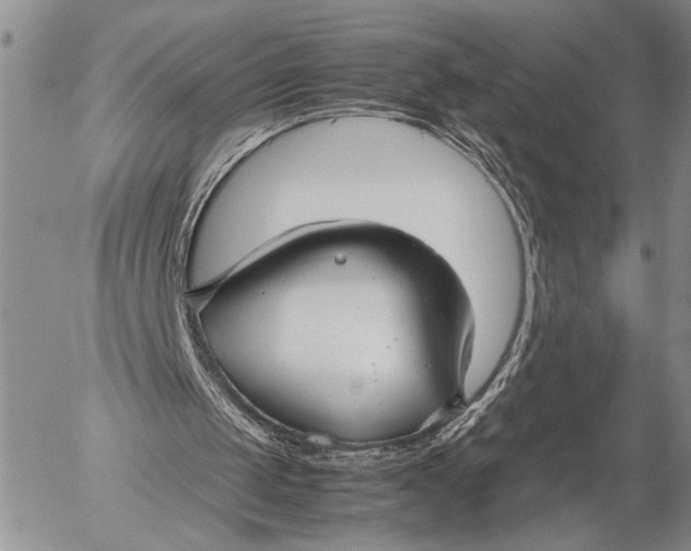 X0000053010049200507291718